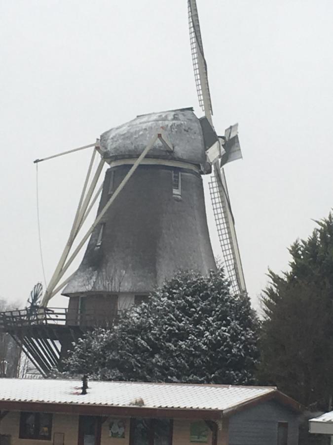 Gardenhouse Mariposa Vila Badhoevedorp Exterior foto