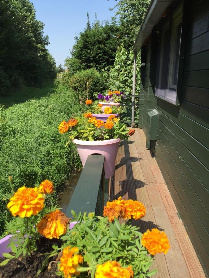 Gardenhouse Mariposa Vila Badhoevedorp Exterior foto
